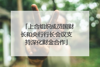 上合组织成员国财长和央行行长会议支持深化财金合作