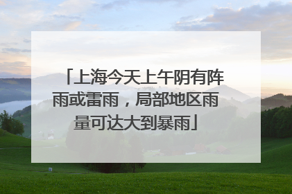 上海今天上午阴有阵雨或雷雨，局部地区雨量可达大到暴雨