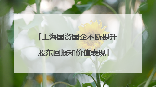 上海国资国企不断提升股东回报和价值表现