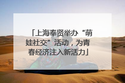 上海奉贤举办“萌娃社交”活动，为青春经济注入新活力