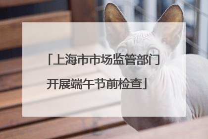 上海市市场监管部门开展端午节前检查