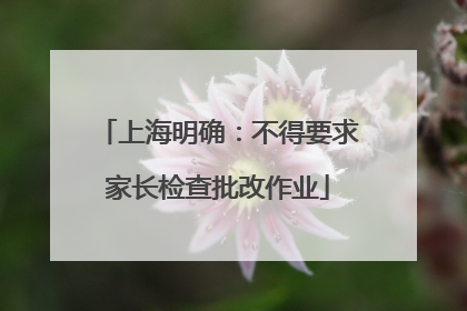 上海明确：不得要求家长检查批改作业