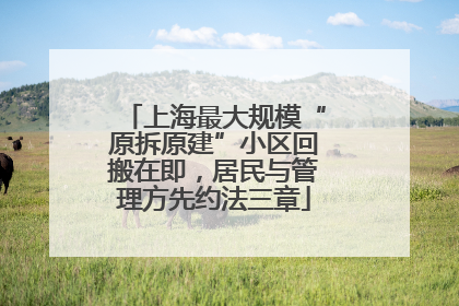 上海最大规模“原拆原建”小区回搬在即，居民与管理方先约法三章