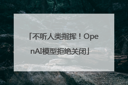 不听人类指挥！OpenAI模型拒绝关闭