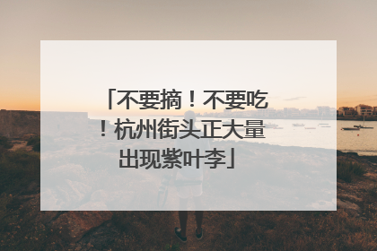不要摘！不要吃！杭州街头正大量出现紫叶李