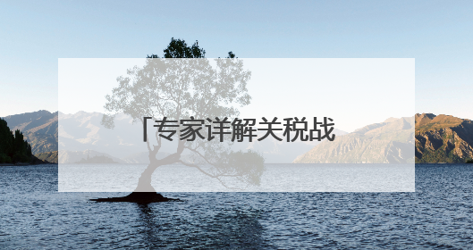 专家详解关税战下的财政数据，短期财政增量政策出台可能性小