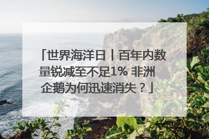 世界海洋日丨百年内数量锐减至不足1% 非洲企鹅为何迅速消失？