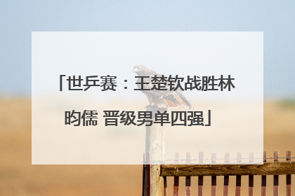 世乒赛：王楚钦战胜林昀儒 晋级男单四强