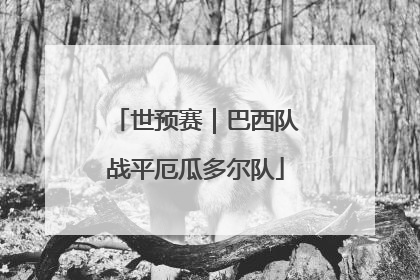 世预赛｜巴西队战平厄瓜多尔队