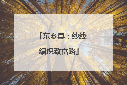 东乡县：纱线编织致富路