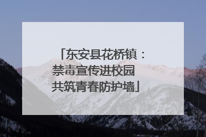 东安县花桥镇：禁毒宣传进校园 共筑青春防护墙
