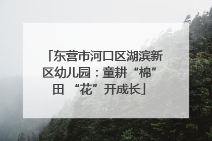 东营市河口区湖滨新区幼儿园：童耕“棉”田 “花”开成长