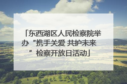 东西湖区人民检察院举办“携手关爱 共护未来”检察开放日活动