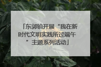东郭镇开展“我在新时代文明实践所过端午”主题系列活动