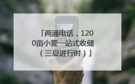 两通电话，1200亩小麦一站式收储（三夏进行时）