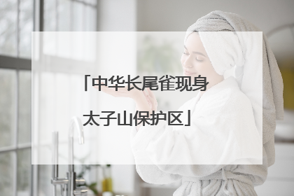 中华长尾雀现身太子山保护区