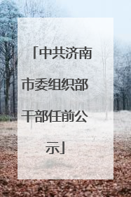 中共济南市委组织部干部任前公示