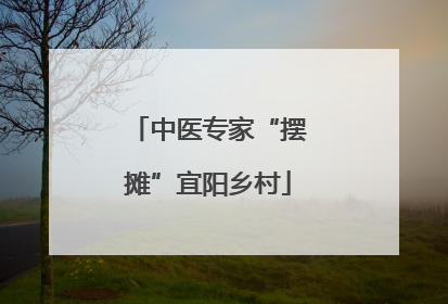 中医专家“摆摊”宜阳乡村