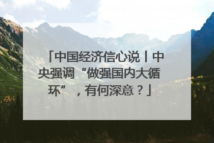 中国经济信心说丨中央强调“做强国内大循环”，有何深意？