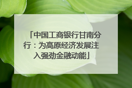 中国工商银行甘南分行：为高原经济发展注入强劲金融动能