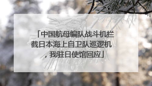 中国航母编队战斗机拦截日本海上自卫队巡逻机，我驻日使馆回应
