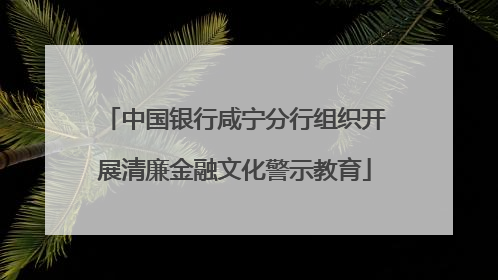 中国银行咸宁分行组织开展清廉金融文化警示教育