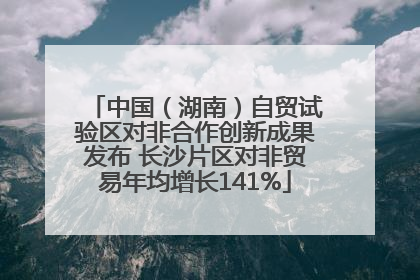 中国（湖南）自贸试验区对非合作创新成果发布 长沙片区对非贸易年均增长141%