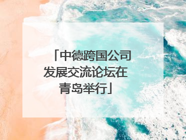中德跨国公司发展交流论坛在青岛举行