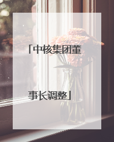 中核集团董事长调整