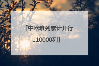 中欧班列累计开行110000列