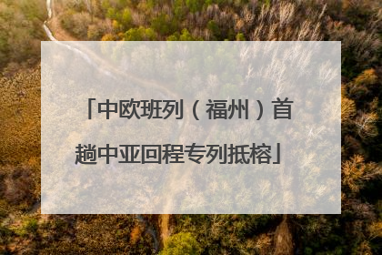 中欧班列（福州）首趟中亚回程专列抵榕