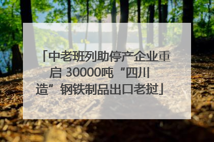 中老班列助停产企业重启 30000吨“四川造”钢铁制品出口老挝