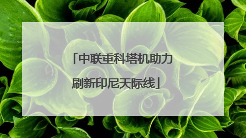中联重科塔机助力刷新印尼天际线