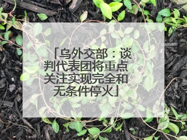 乌外交部：谈判代表团将重点关注实现完全和无条件停火
