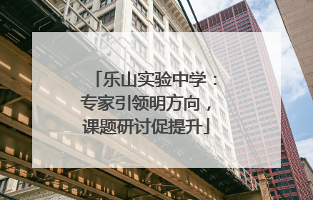 乐山实验中学：专家引领明方向，课题研讨促提升