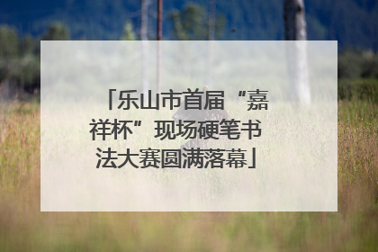 乐山市首届“嘉祥杯”现场硬笔书法大赛圆满落幕