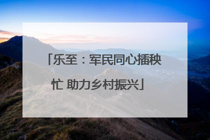 乐至：军民同心插秧忙 助力乡村振兴