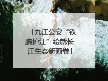 九江公安“铁腕护江”绘就长江生态新画卷