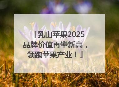 乳山苹果2025品牌价值再攀新高，领跑苹果产业！