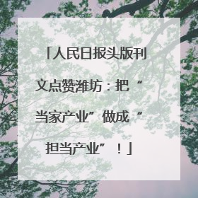 人民日报头版刊文点赞潍坊：把“当家产业”做成“担当产业”！