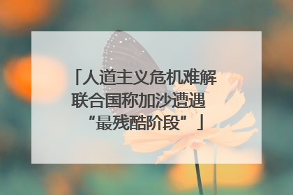 人道主义危机难解 联合国称加沙遭遇“最残酷阶段”