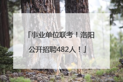 事业单位联考！洛阳公开招聘482人！