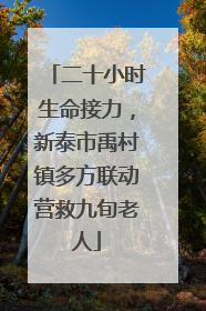 二十小时生命接力，新泰市禹村镇多方联动营救九旬老人