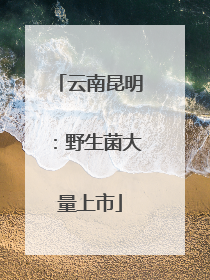 云南昆明：野生菌大量上市
