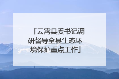 云霄县委书记调研督导全县生态环境保护重点工作