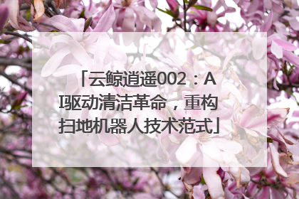 云鲸逍遥002：AI驱动清洁革命，重构扫地机器人技术范式