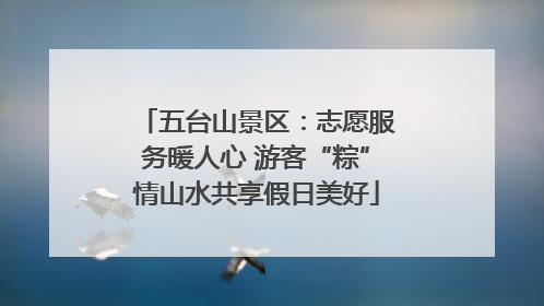 五台山景区：志愿服务暖人心 游客“粽”情山水共享假日美好