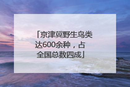 京津冀野生鸟类达600余种，占全国总数四成