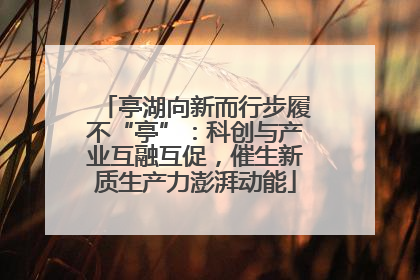 亭湖向新而行步履不“亭”：科创与产业互融互促，催生新质生产力澎湃动能