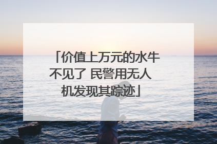 价值上万元的水牛不见了 民警用无人机发现其踪迹